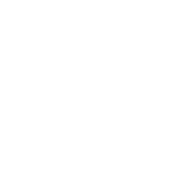 Logo Vive